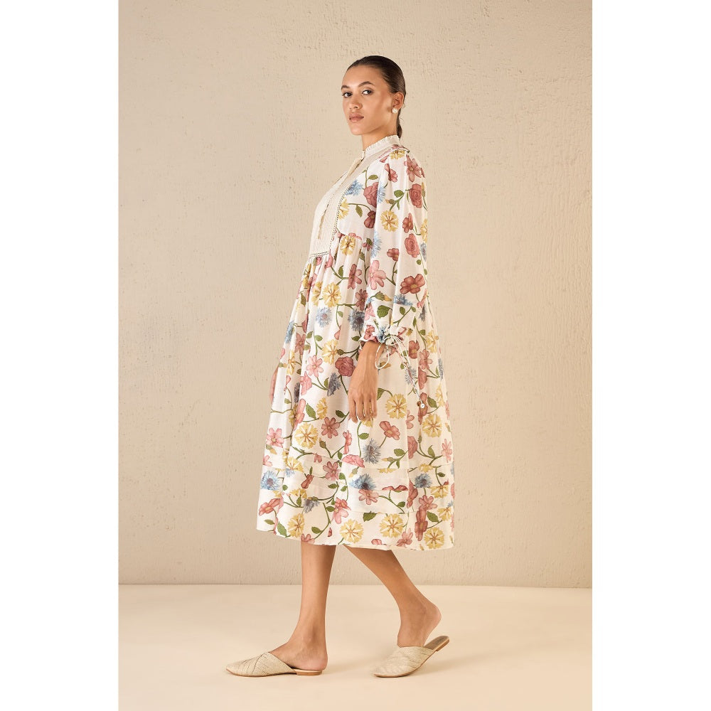 Shivani Bhargava Multi-Colour Flora Gather Dress