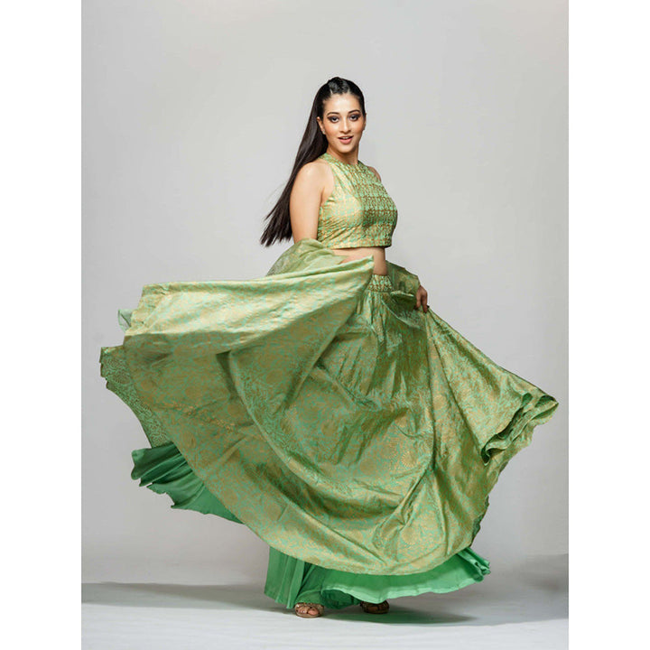 Shruti S Green Metallic Hand Block Lehenga (Set of 3)