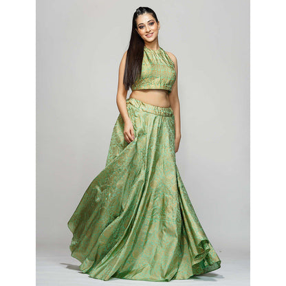 Shruti S Green Metallic Hand Block Lehenga (Set of 3)