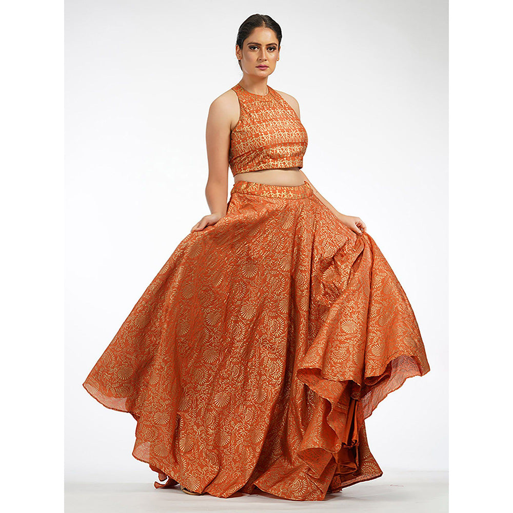 Shruti S Orange Metallic Hand Painted Lehenga (Set of 3)