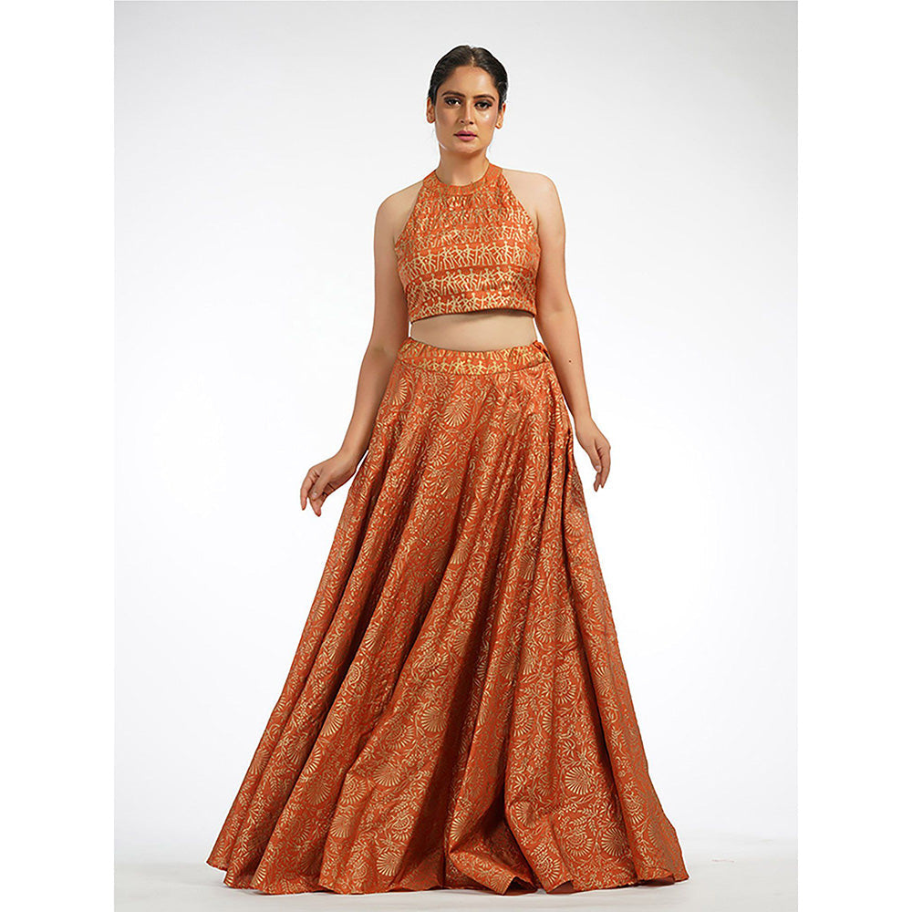 Shruti S Orange Metallic Hand Painted Lehenga (Set of 3)