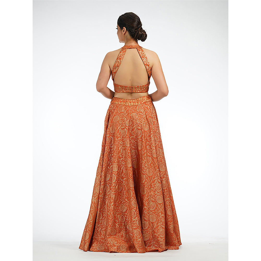 Shruti S Orange Metallic Hand Painted Lehenga (Set of 3)