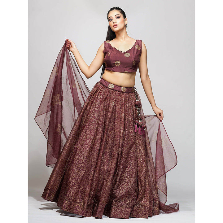 Shruti S Maroon Metallic Hand Painted Lehenga (Set of 3)