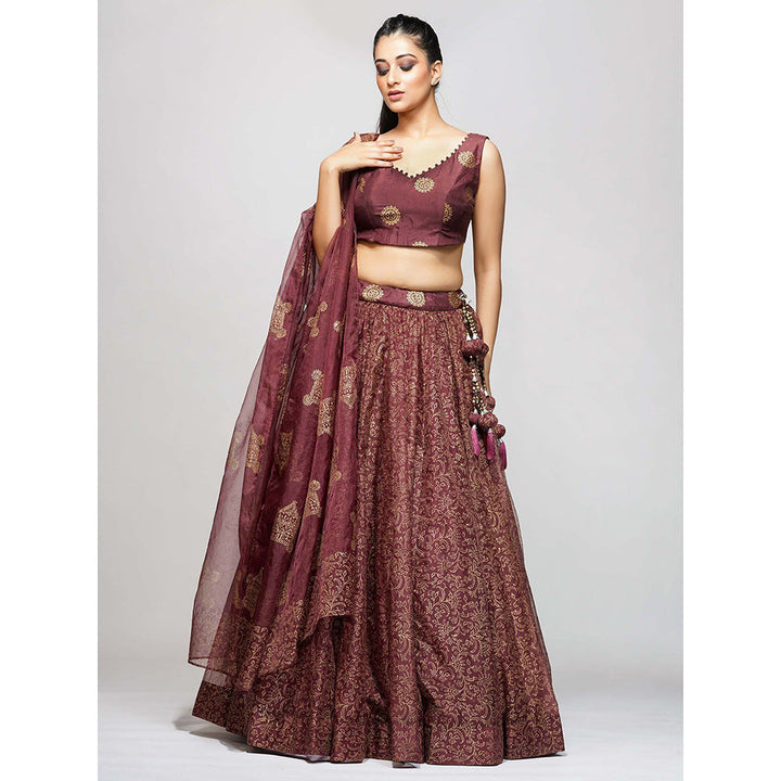 Shruti S Maroon Metallic Hand Painted Lehenga (Set of 3)