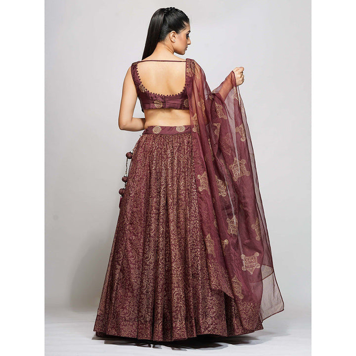 Shruti S Maroon Metallic Hand Painted Lehenga (Set of 3)