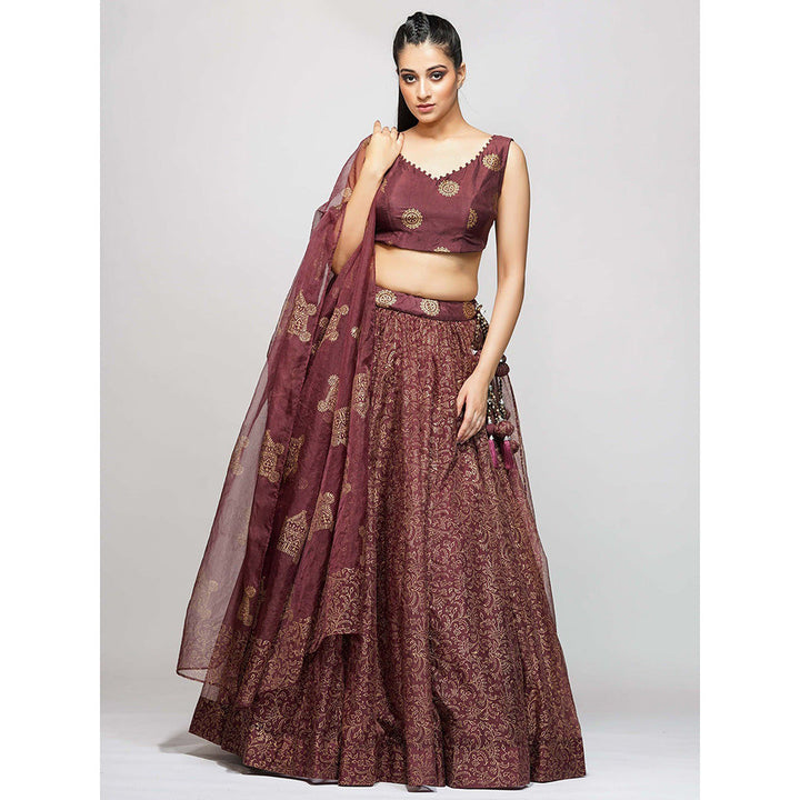 Shruti S Maroon Metallic Hand Painted Lehenga (Set of 3)