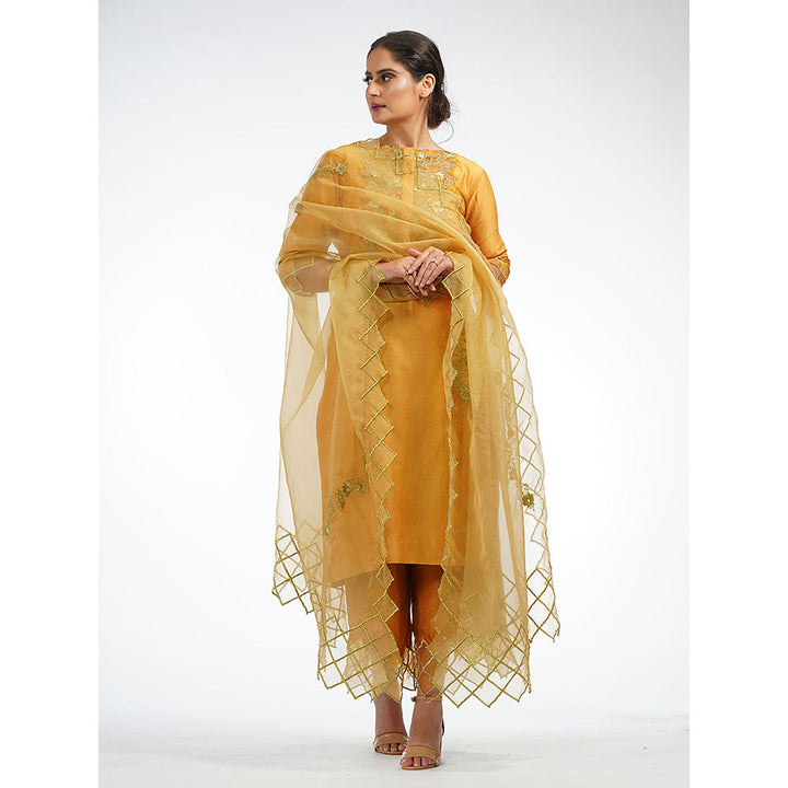 Shruti S Yellow Palazzo With Zari Work (Set of 3)