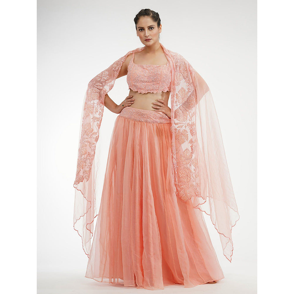 Shruti S Peach Grapevine Lehenga (Set of 3)