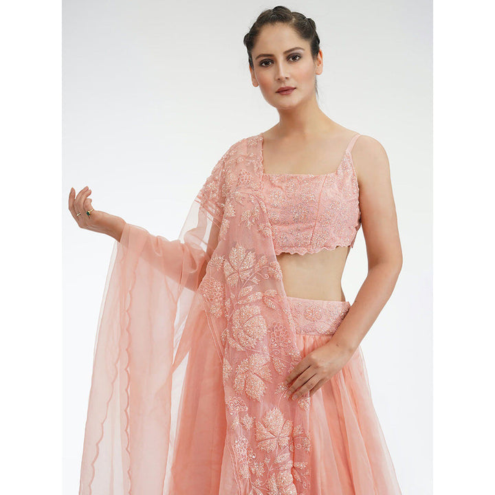 Shruti S Peach Grapevine Lehenga (Set of 3)