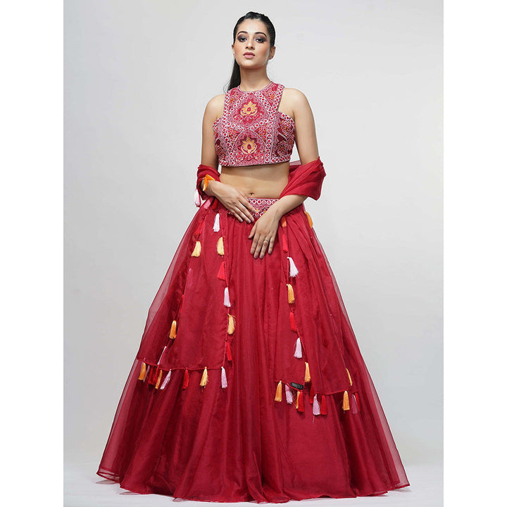 Shruti S Red Thread Work Lehenga (Set of 3)