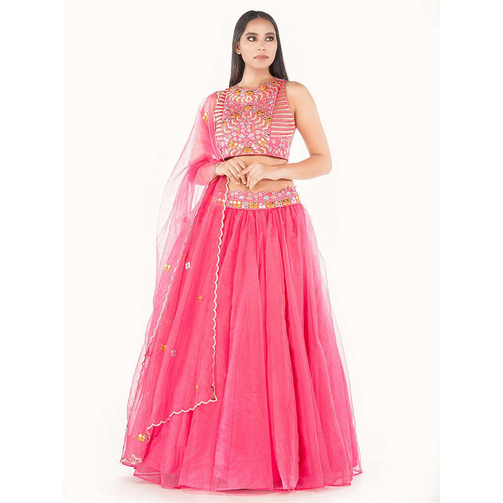 Shruti S Pink Thread And Mirror Work Lehenga (Set of 3)