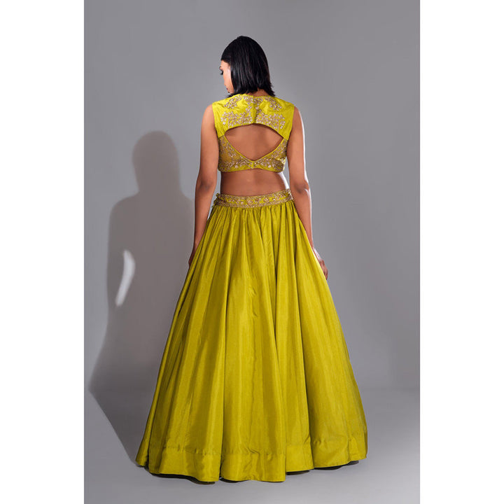 Shruti S Green - Dori Work Lehenga with Blouse and Dupatta (Set of 3)