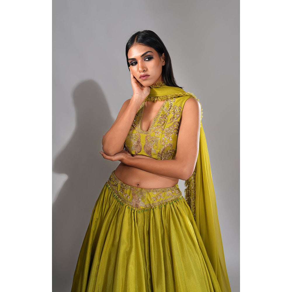 Shruti S Green - Dori Work Lehenga with Blouse and Dupatta (Set of 3)