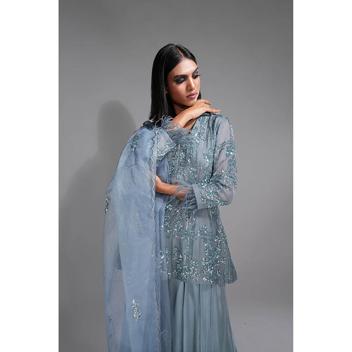 Shruti S Silver Blue Peplum Top with Sharara and Dupatta with Sequins Work (Set of 3)