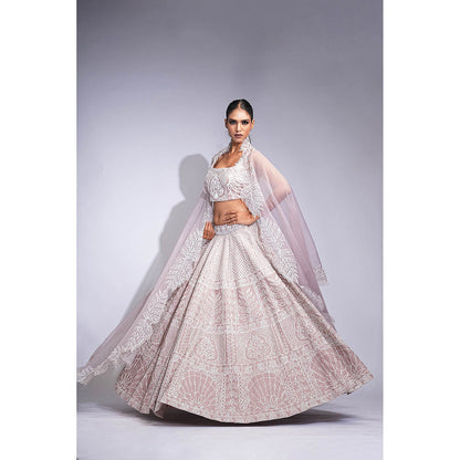 Shruti S Mauve Silk Lehenga with Blouse and Dupatta