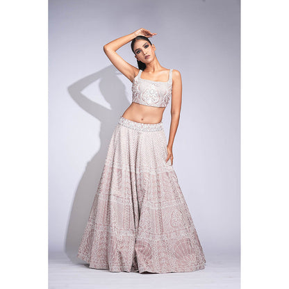 Shruti S Mauve Silk Lehenga with Blouse and Dupatta