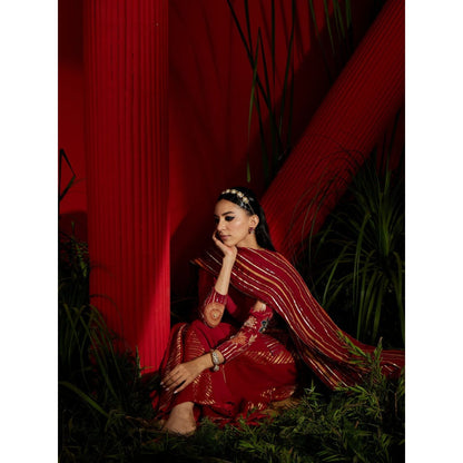 Shreeka Deep Red Embroidered Kurta And Shaara Georgette (Set of 3)