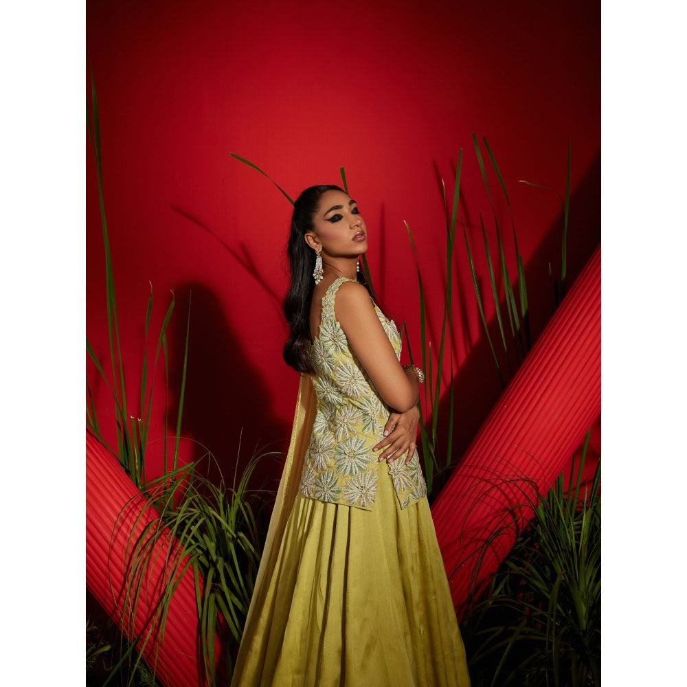 Shreeka Yellow Georgette And Satin Organza Embroidered Kurta & Skirt (Set of 3)