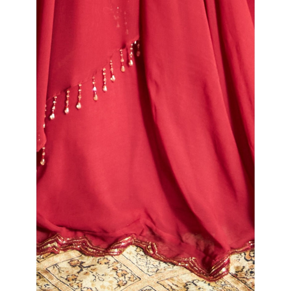 Shreeka Deep Red Draped Blouse Embroidered Georgette Skirt (Set of 2)
