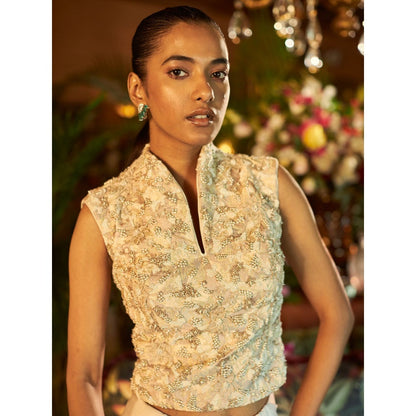 Shreeka Beigie Satin Embroidered Draped Skirt (Set of 2)