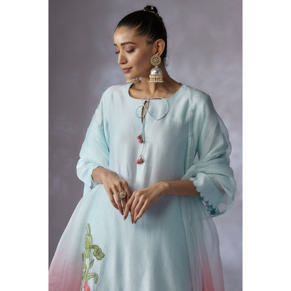 Shreeka Powder Blue Embroidered Kurta with Palazzo and Dupatta (Set of 3)