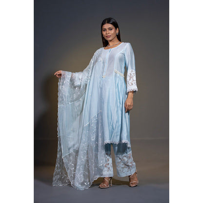 Shweta Dabas Pure Silk A-Line Embroidered Anarkali with Pant and Dupatta (Set of 3)