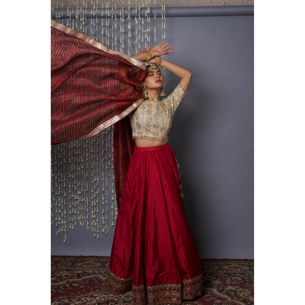 Shweta Dabas Pink Silk Lehenga with Choli and Dupatta (Set of 3)