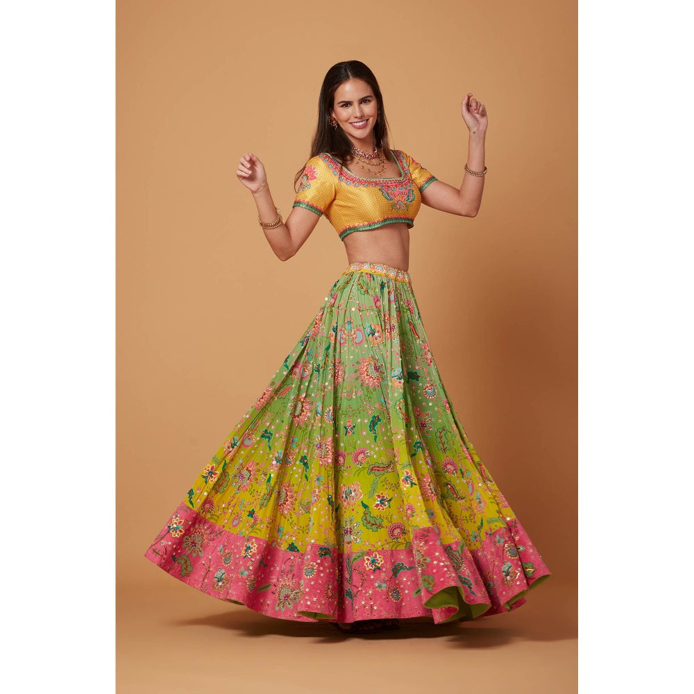 Siddhartha Bansal Yellow Green Ombre Embroidered Lehenga with Blouse and Dupatta (Set of 3)