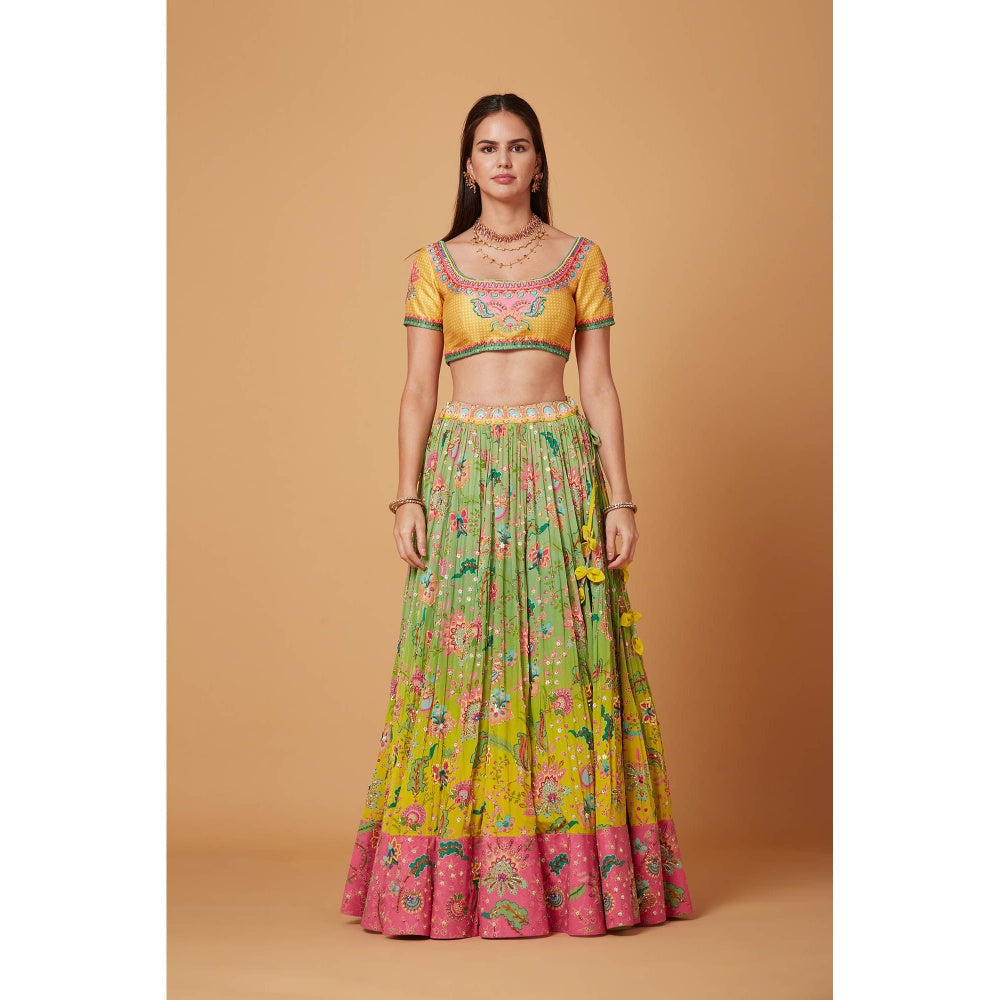 Siddhartha Bansal Yellow Green Ombre Embroidered Lehenga with Blouse and Dupatta (Set of 3)