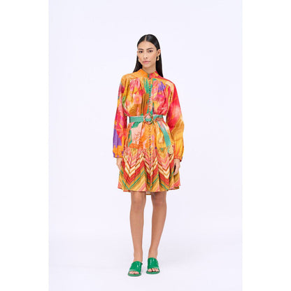 Siddhartha Bansal Multi-Colour Printed Bed Of Roses Knee Length Dress with Belt (Set of 2)