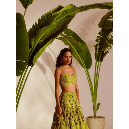 Silky Bindra Green Monstera Lehenga with Bustier and Dupatta (Set of 3)