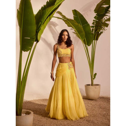 Silky Bindra Yellow Blossom Lehenga with Bustier (Set of 2)