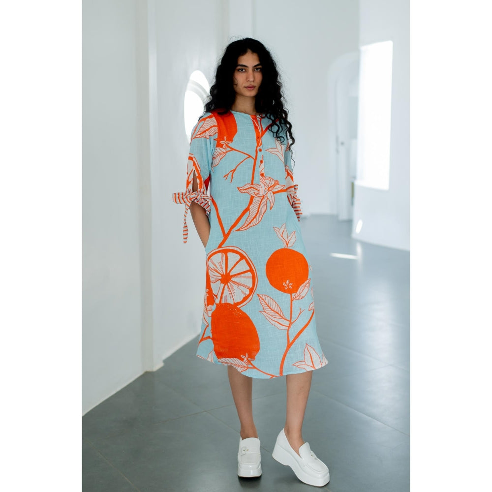 Silai Studio Mandarin Print Cotton Dress