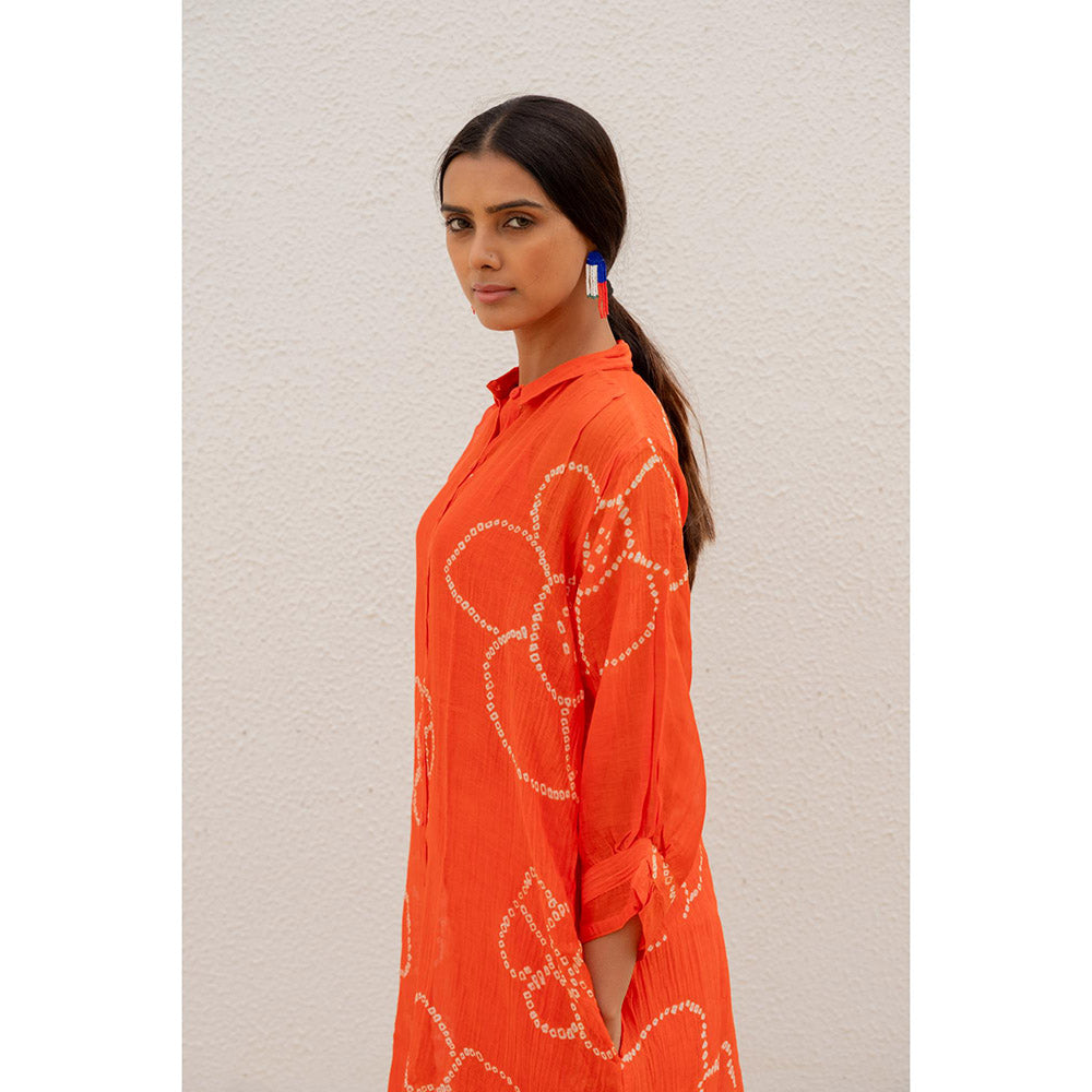 Silai Studio Burnt Orange Bandhani Kurta with Palazzo and Inner (Set of 3)