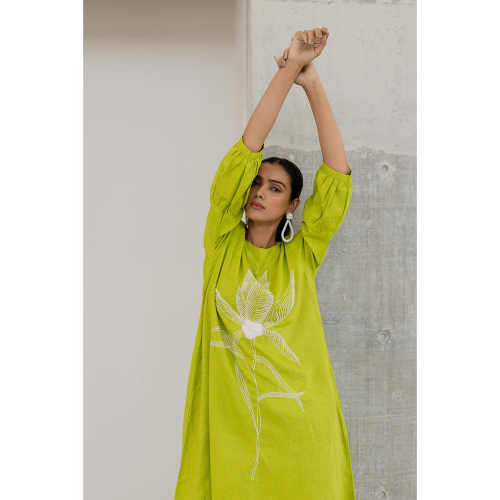 Silai Studio Matcha Bloom Embroidered Kurta with Palazzo (Set of 2)