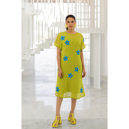 Silai Studio Avocado Mesh Embroidered Dress with Slip (Set of 2)