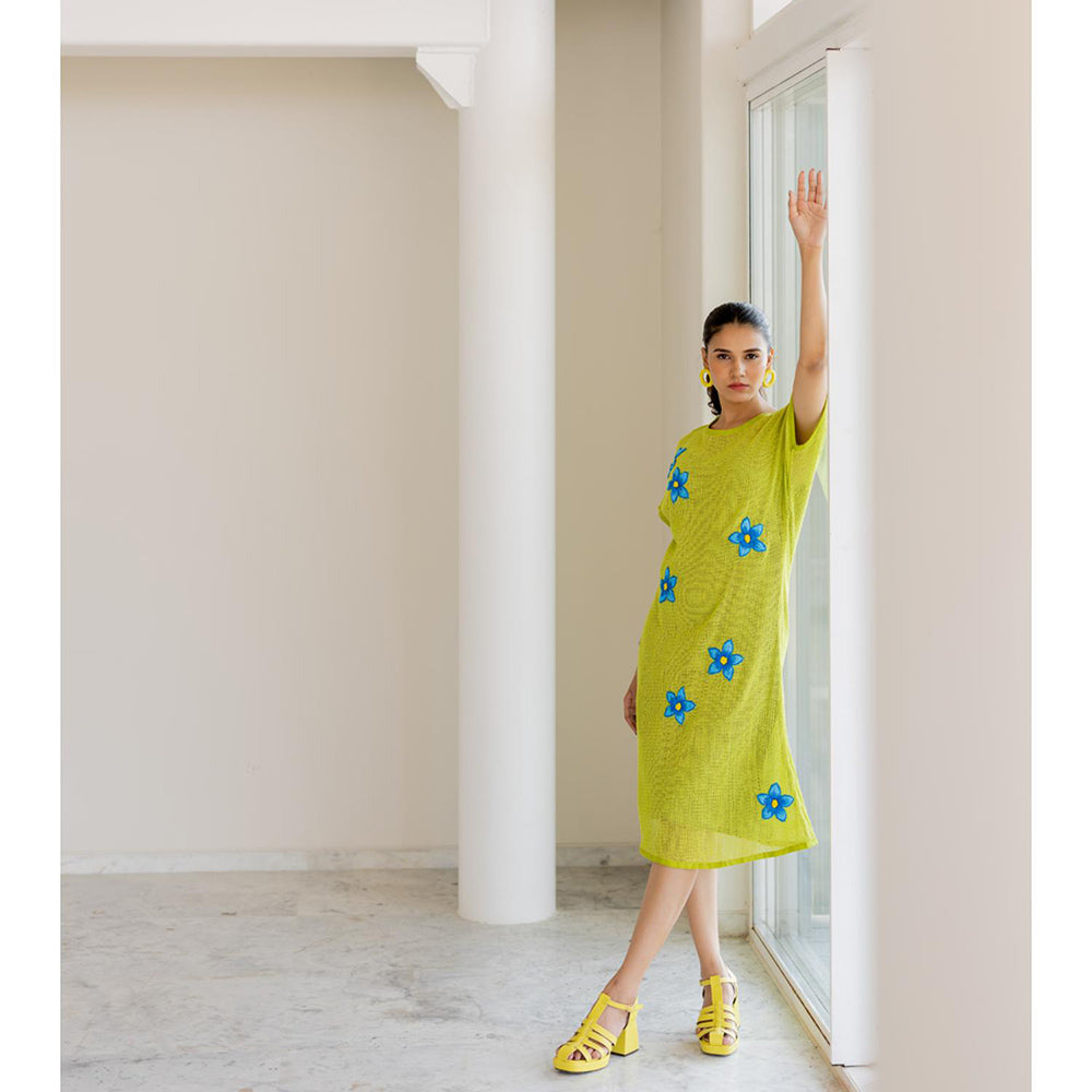 Silai Studio Avocado Mesh Embroidered Dress with Slip (Set of 2)