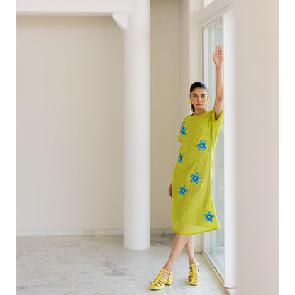 Silai Studio Avocado Mesh Embroidered Dress with Slip (Set of 2)