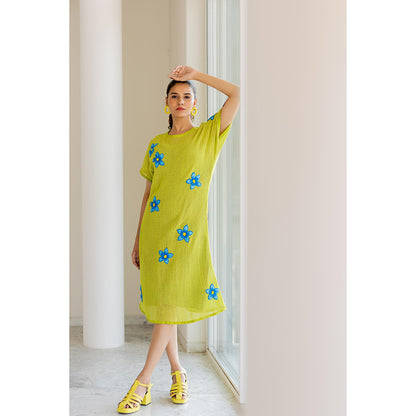 Silai Studio Avocado Mesh Embroidered Dress with Slip (Set of 2)