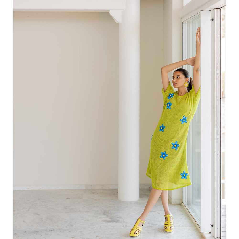 Silai Studio Avocado Mesh Embroidered Dress with Slip (Set of 2)