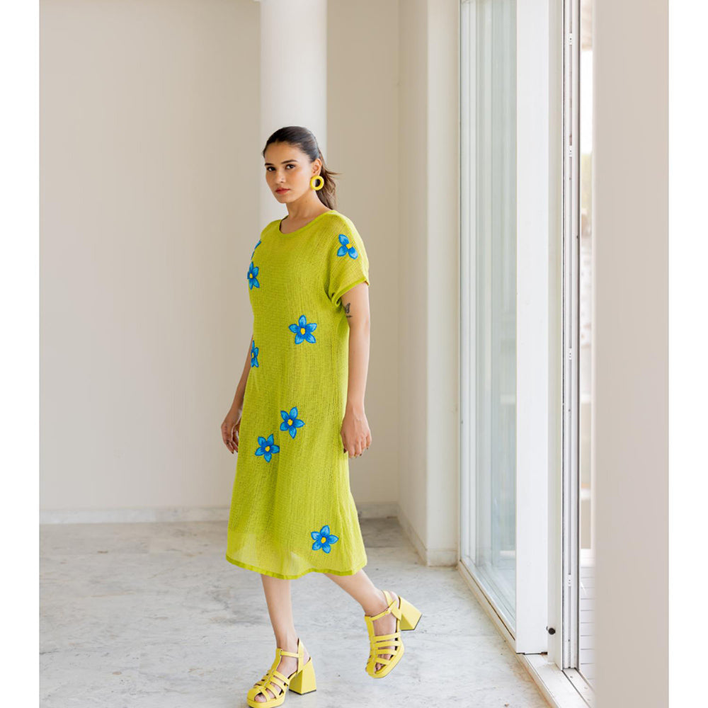 Silai Studio Avocado Mesh Embroidered Dress with Slip (Set of 2)
