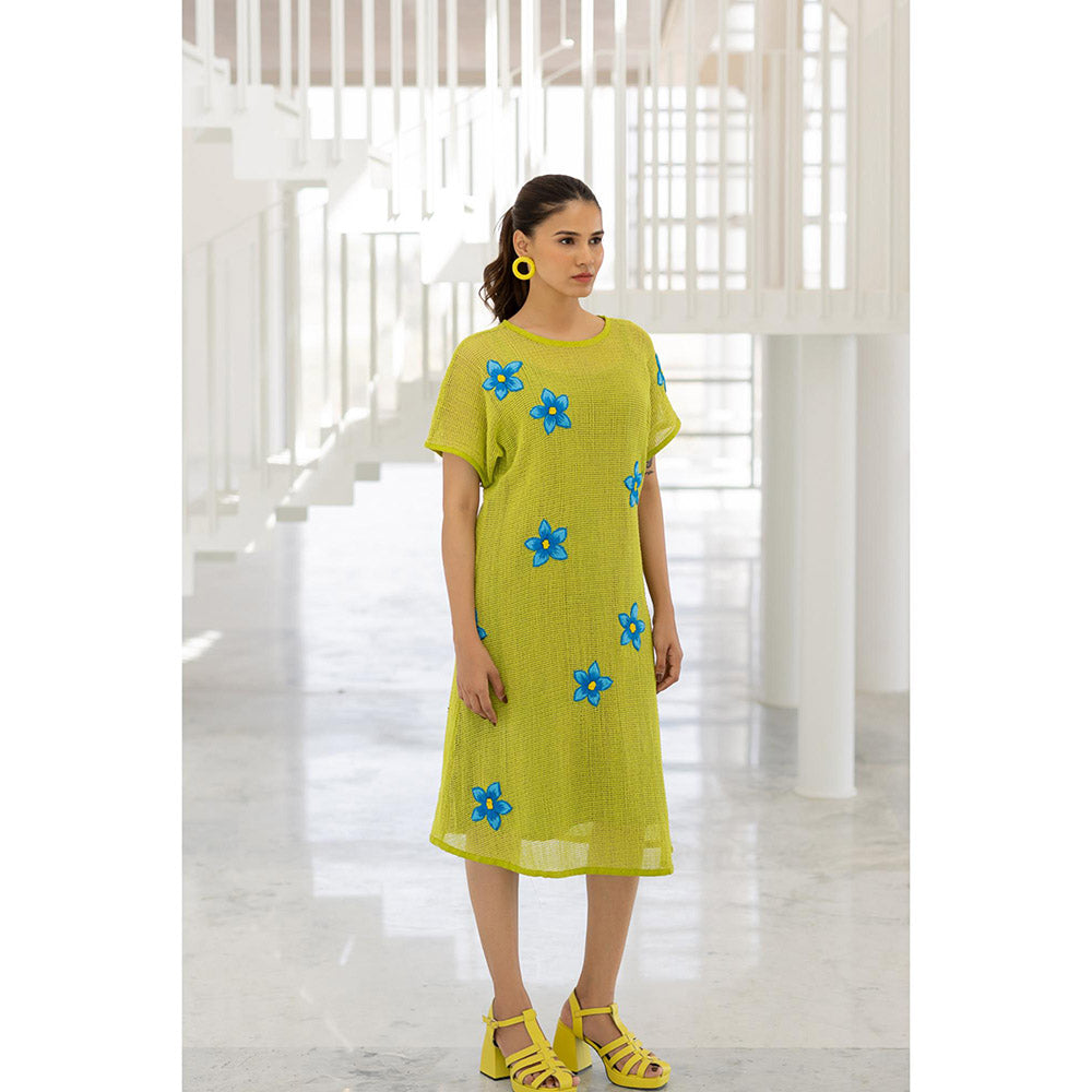 Silai Studio Avocado Mesh Embroidered Dress with Slip (Set of 2)
