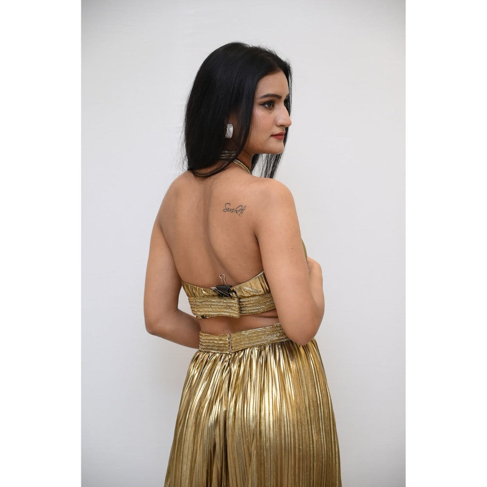 Label Simran Kochher Gold Pelted Chocker Gown
