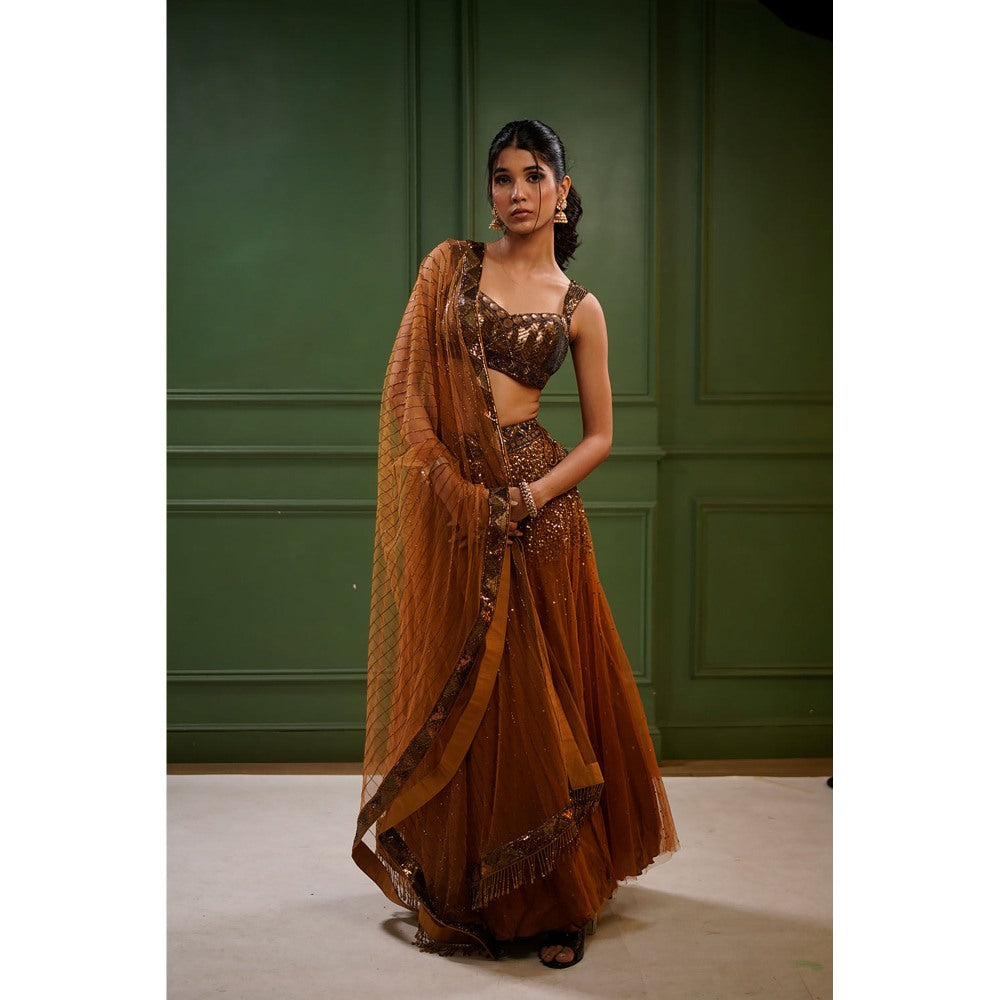 Label Simran Kochher Bold Bronze Beauty Lehenga with Blouse and Dupatta (Set of 3)