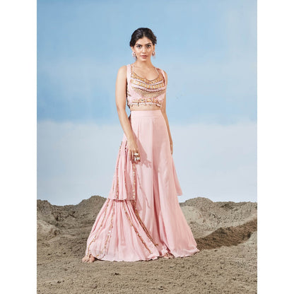 Siyona by Ankurita Pink Muted Beauty Blouse with Pant (Set of 2)