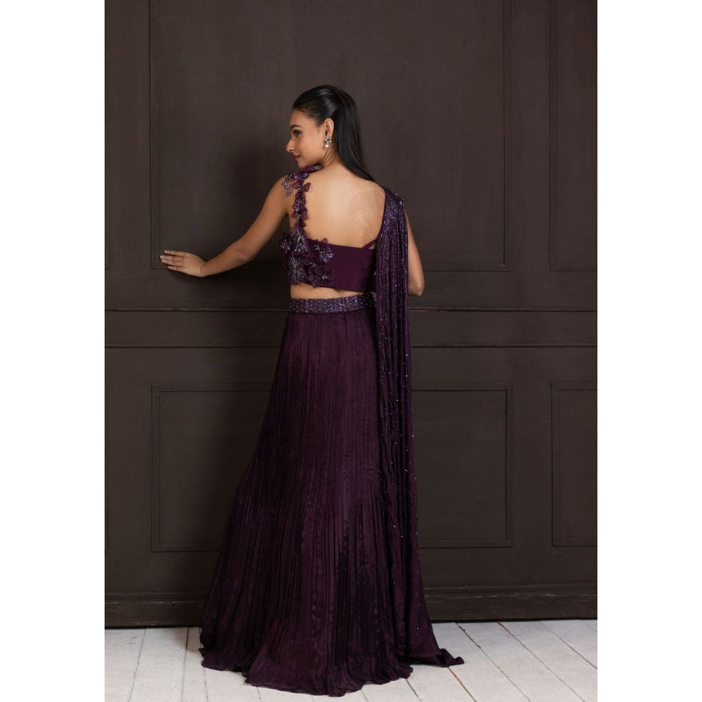 SMRITI Plum Beaded Skirt with Top