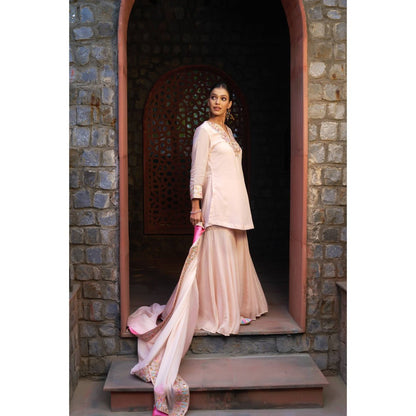 Sonia Khatri Pale Pink Sharara with Kurta and Dupatta (Set of 3)