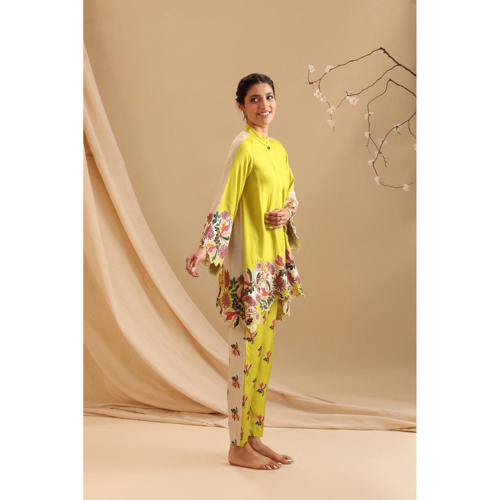 Soup by Sougat Paul Yellow Aarani Embroidered Co-Ord (Set of 2)