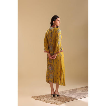 Soup by Sougat Paul Yellow Eraya Embellished V-Neck Dress