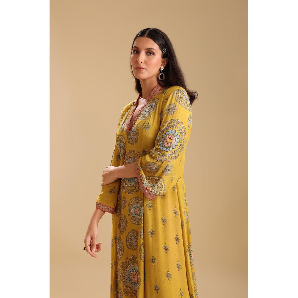 Soup by Sougat Paul Yellow Eraya Embellished V-Neck Dress